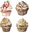 Watercolor collection of sweet different type cupcakes with berries, isolated on white background.