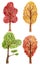 Watercolor collection of various colorful tree, isolated on white background for autumn products.