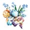 Watercolor colorful bouquet with iris flower, forget-me-not and leaves isolted on white background