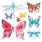 Watercolor of colorful collection of butterfly and dragonfly