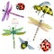 Watercolor colorful dragonflies, bees and ladybugs illustration