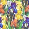 Watercolor colorful irises in seamless pattern.