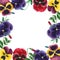 Watercolor colorful viola flower. Floral botanical flower. Frame border ornament square.