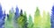 Watercolor coniferous forest illustration,