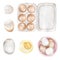 Watercolor Cooking Clipart, Eggs in different variation. Kitchen illustration