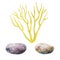 Watercolor corals stones