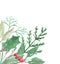 Watercolor Corner Holly Christmas Leaves Berries Festive Border