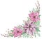 Watercolor corner pink poinsettia bouquet with green leaves, pine and juniper branches. Winter floral arrangement