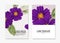 Watercolor cosmos flower , botanical wild Field  floral template. Custom flower diy card, printable botanical art bouquet. Modern
