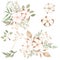 Watercolor cotton summer bouquets  illustration,beige floral arrangements, greenery cliparts, wedding flowers, wedding invites