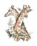 Watercolor couple of cute giraffes with flowers. African animlas clipart.