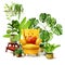Watercolor Cozy yellow armchair surrounded by houseplants