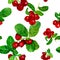 Watercolor Cranberry sprigs seamless pattern on white background.