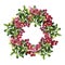 Watercolor cranberry wreath