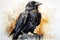 watercolor Crow Black Crow Watercolor Raven Bird