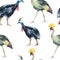 Watercolor Crowned crane, Cassowary bird seamless pattern on white background