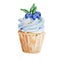 Watercolor cupcake with blueberries