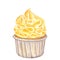 Watercolor cupcake with orange whipped cream. Kumquat, tangerine taste. Food clipart. Hand drawn illustration isolated