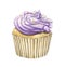 Watercolor cupcake with purple cream motley topping            cx