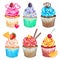 Watercolor cupcakes collection. Watercolor cupcakes set