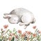 Watercolor cute baby rabbit illustration. Little bunny sleeping, isolated on white background. Spring meadow flowers. Easter card