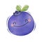 Watercolor cute blueberry cartoon character