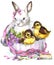 Watercolor cute bunny and little bird, gift and flowers background