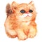 Watercolor cute cartoon fluffy ginger cat vector isolated