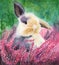 Watercolor cute fluffy rabbit on the field of pink flowers