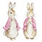 Watercolor cute Peter Rabbits in pink jacket