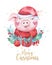 Watercolor cute Pig symbol 2019 illustration. Isolated funny cartoon ping animal Happy Chinese New Year piggy art.