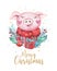 Watercolor cute Pig symbol 2019 illustration. Isolated funny cartoon ping animal Happy Chinese New Year piggy art.