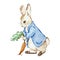 Watercolor cute rabbit rabbit in a blue jacket with carrot