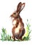 Watercolor cute Rabbits Hares Painting