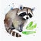 Watercolor cute raccoon. Cartoon style. Generative Ai