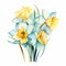 Watercolor Daffodil Arrangement Clipart With Sky Blue Hues