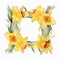 Watercolor Daffodil Frame On White Background