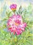 Watercolor dahlia in flowering garden. Summer illustration