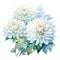 Watercolor Dahlia Plants: Dark White And Light Azure Artistic Arrangements