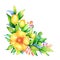 Watercolor decorative composition with yellow spring flowers