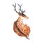 Watercolor deer with horns wood animal