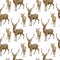 Watercolor deer seamless pattern. Hand painted realistic buck with antlers, baby fawn deer isolated on white background