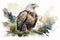a watercolor depicting a bald eagle