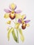 Watercolor Depiction of Ophrys Apifera on White Canvas AI Generated