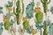 Watercolor desert set `Cacti pattern` for bedding on a white background