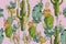 Watercolor desert set `Cacti pattern` tropical on a pink background