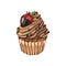 Watercolor dessert cupcake with strawberry, whipped chocolate chip muffin in wax liner. Hand-drawn illustration isolated