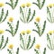 Watercolor digital paper pattern daisy dandelion lupine cornflower flowers seamless illustration set of summer botanical decoratio