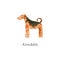 Watercolor dog. Hand drawn illustration is isolated on white. Painted Airedale is perfect for animal design