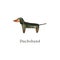 Watercolor dog. Hand drawn illustration is isolated on white. Painted dachshund